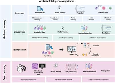 How artificial intelligence revolutionizes the world of multiple myeloma
